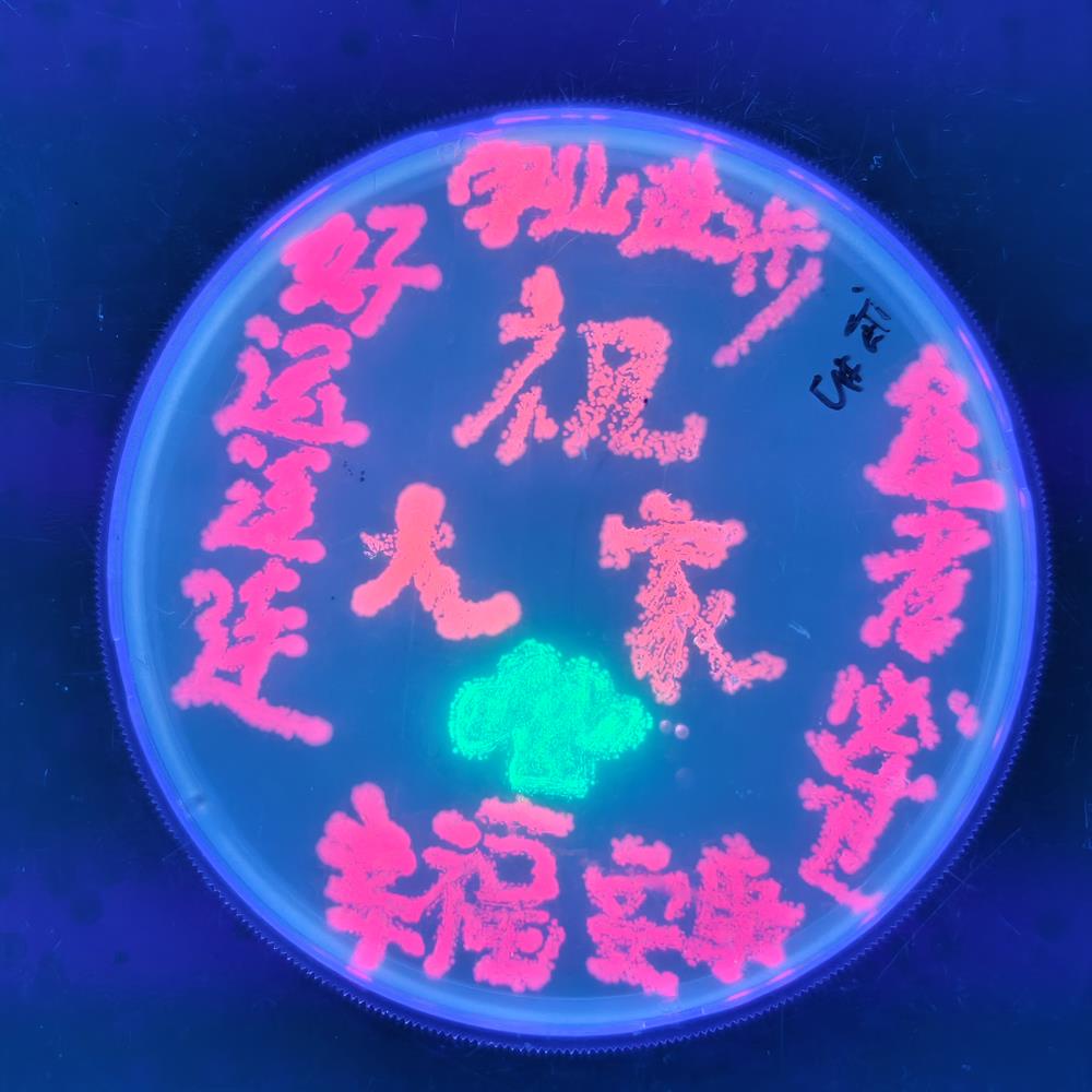 5b1c9a9ee644411ba5f305ff0e9bfd85.jpg 5b1c9a9ee644411ba5f305ff0e9bfd85.jpg