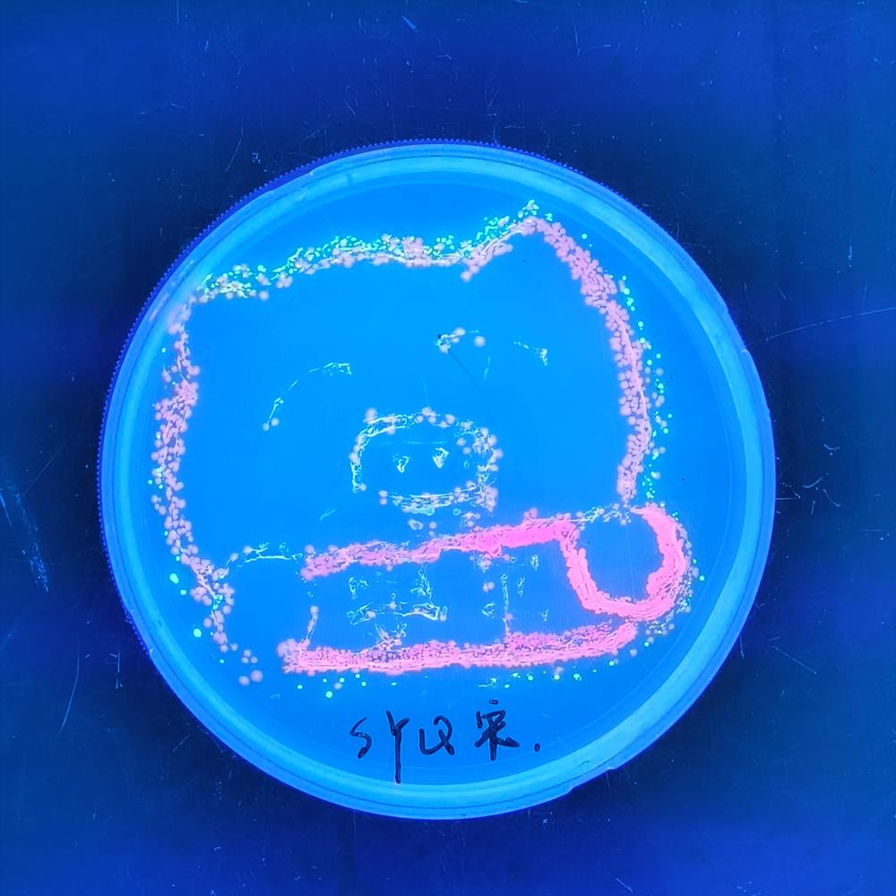 d6c8f770ee184feb85950beed23553af.jpg d6c8f770ee184feb85950beed23553af.jpg